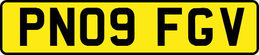 PN09FGV