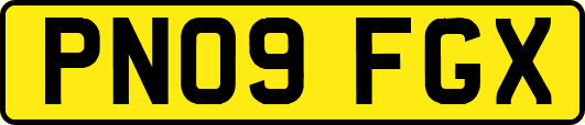 PN09FGX