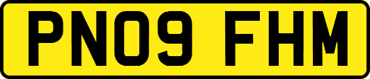 PN09FHM