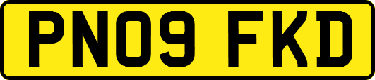 PN09FKD