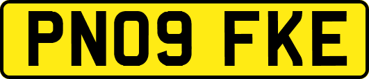 PN09FKE