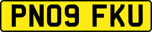 PN09FKU