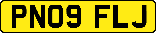PN09FLJ