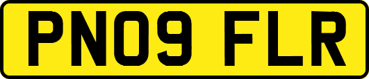 PN09FLR