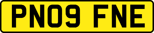 PN09FNE