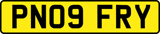 PN09FRY