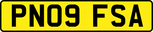PN09FSA