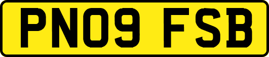 PN09FSB