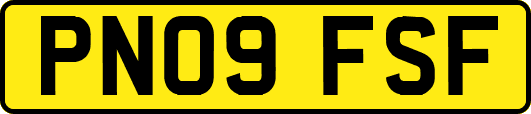 PN09FSF