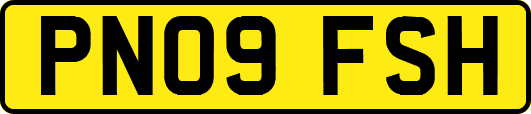 PN09FSH