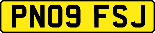 PN09FSJ