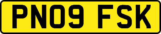 PN09FSK