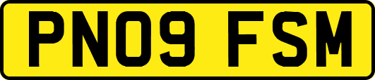 PN09FSM