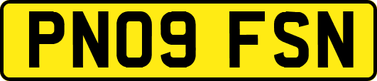 PN09FSN
