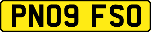 PN09FSO