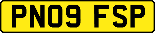 PN09FSP