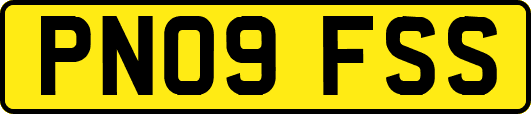 PN09FSS