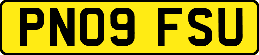 PN09FSU