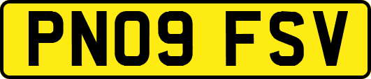 PN09FSV