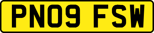 PN09FSW