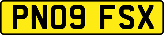 PN09FSX