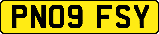 PN09FSY