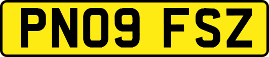 PN09FSZ