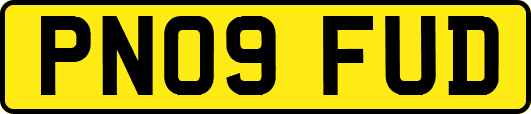 PN09FUD