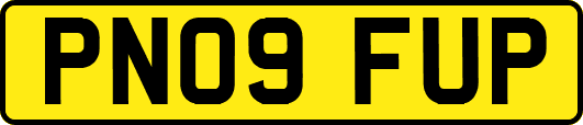 PN09FUP