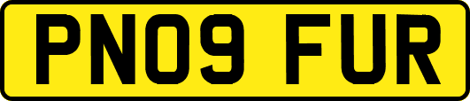 PN09FUR