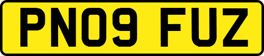 PN09FUZ