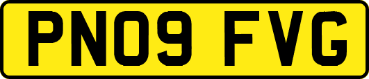 PN09FVG