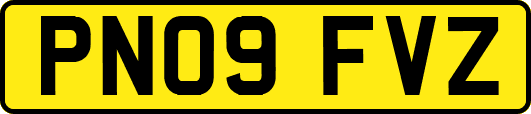 PN09FVZ