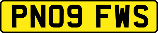 PN09FWS
