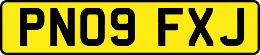 PN09FXJ