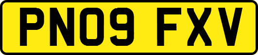 PN09FXV