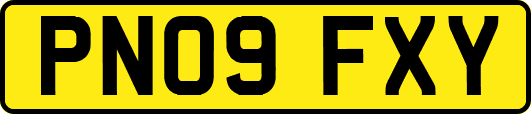 PN09FXY