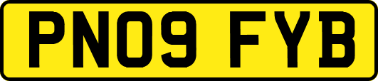 PN09FYB