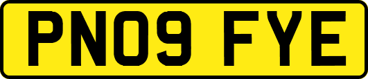 PN09FYE