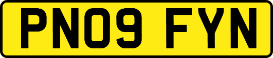 PN09FYN