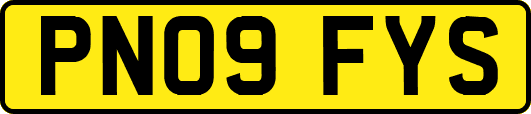 PN09FYS
