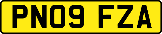 PN09FZA