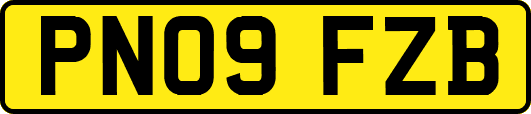 PN09FZB