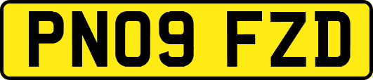 PN09FZD