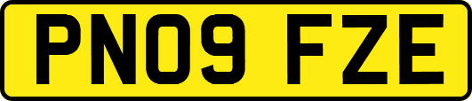 PN09FZE