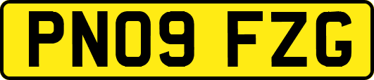 PN09FZG