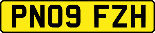 PN09FZH