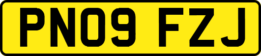 PN09FZJ