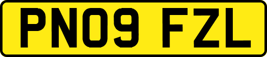 PN09FZL