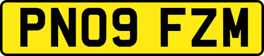 PN09FZM